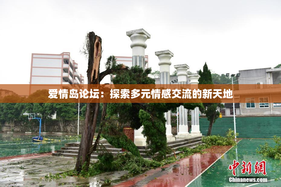 爱情岛论坛：探索多元情感交流的新天地