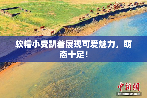 软糯小受趴着展现可爱魅力，萌态十足！