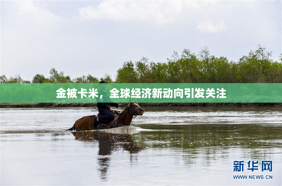 金被卡米，全球经济新动向引发关注