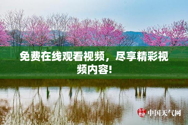 免费在线观看视频，尽享精彩视频内容!