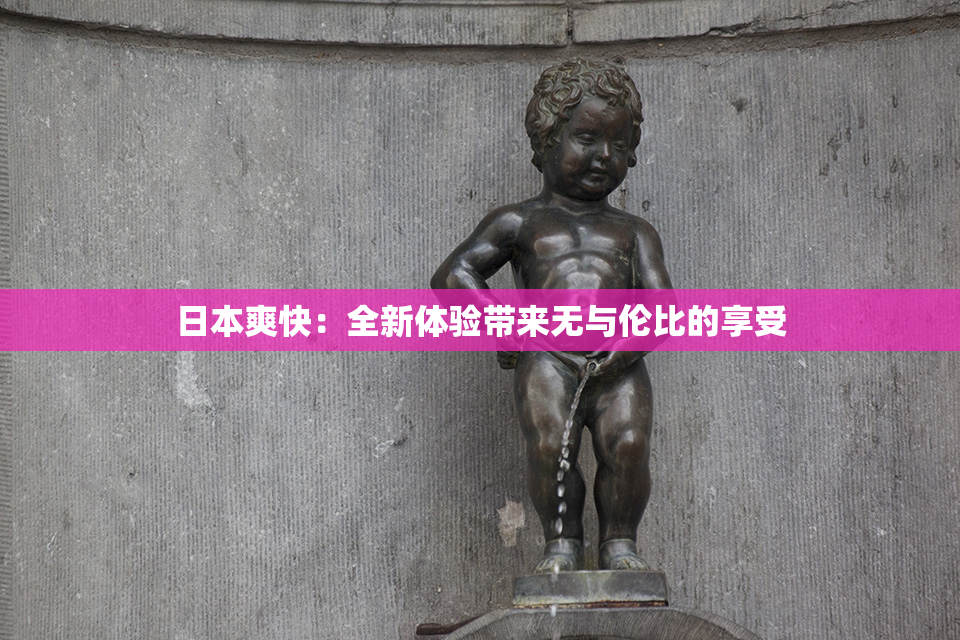 日本爽快：全新体验带来无与伦比的享受