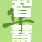 智慧女神的崇高象征与现代意义探讨