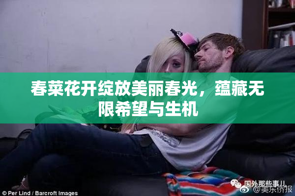 春菜花开绽放美丽春光，蕴藏无限希望与生机
