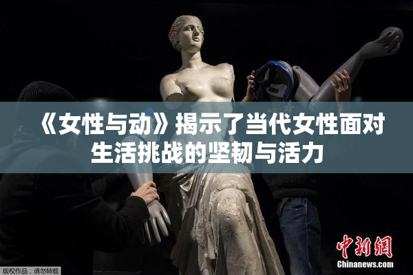 《女性与动》揭示了当代女性面对生活挑战的坚韧与活力