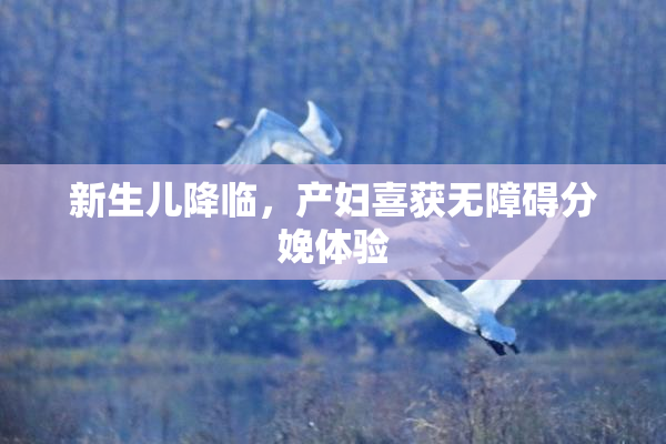 新生儿降临，产妇喜获无障碍分娩体验