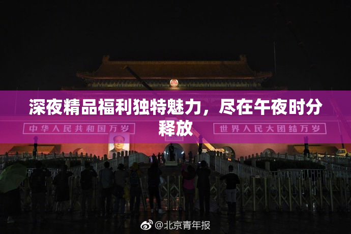 深夜精品福利独特魅力，尽在午夜时分释放