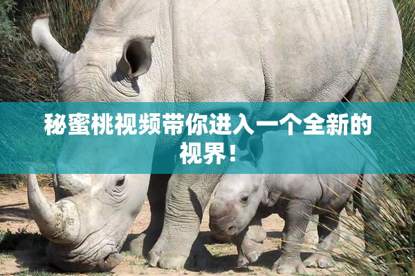 秘蜜桃视频带你进入一个全新的视界！