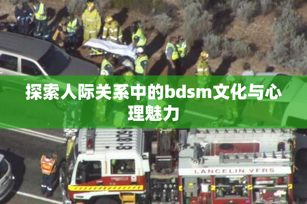探索人际关系中的bdsm文化与心理魅力