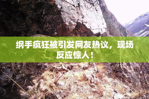 纲手疯狂被引发网友热议，现场反应惊人！