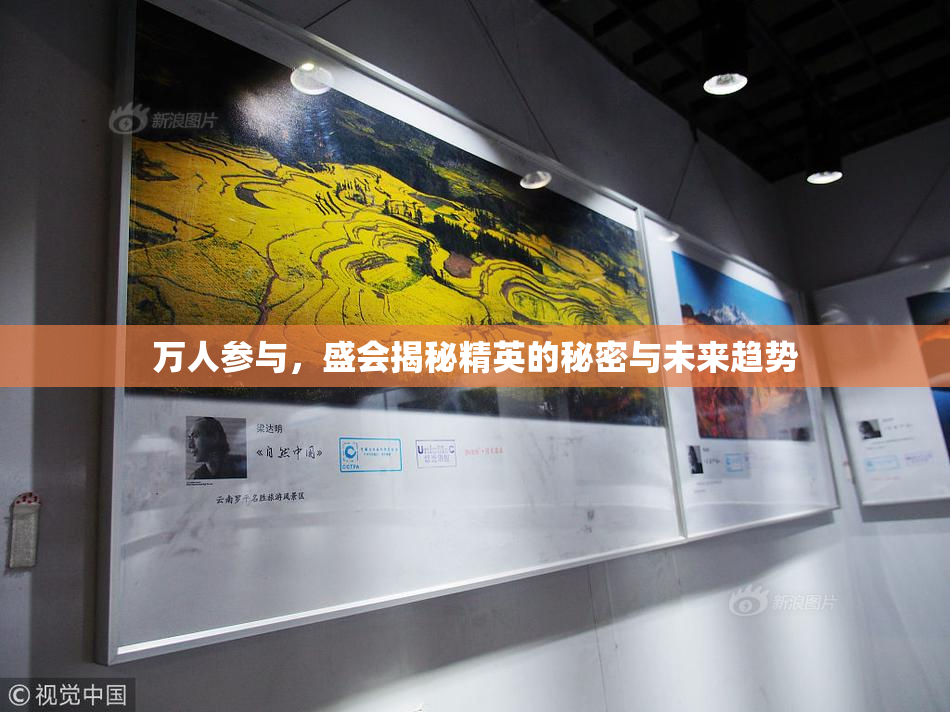 万人参与，盛会揭秘精英的秘密与未来趋势