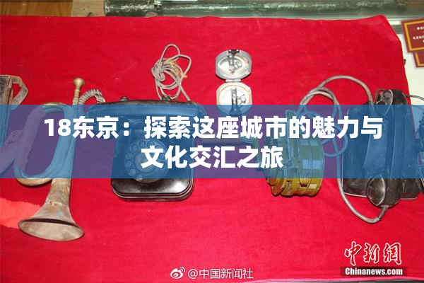 18东京：探索这座城市的魅力与文化交汇之旅