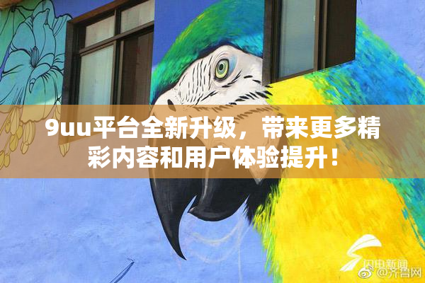 9uu平台全新升级，带来更多精彩内容和用户体验提升！