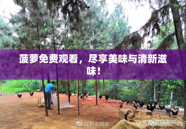 菠萝免费观看，尽享美味与清新滋味！