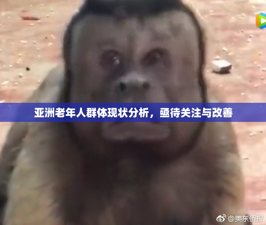 亚洲老年人群体现状分析，亟待关注与改善