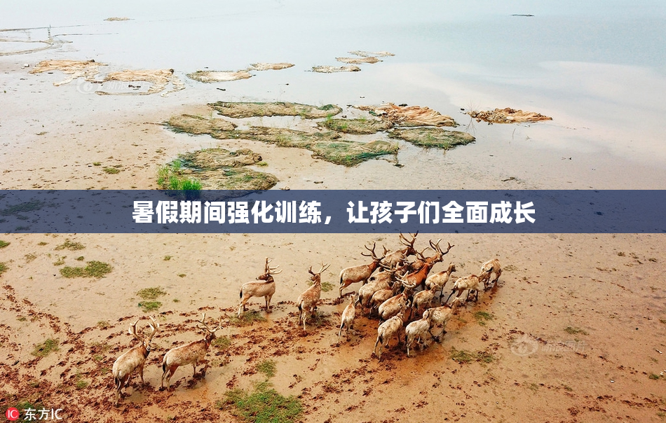 暑假期间强化训练，让孩子们全面成长