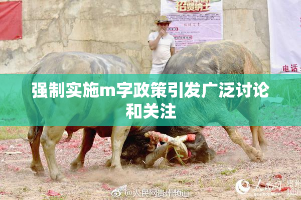 强制实施m字政策引发广泛讨论和关注