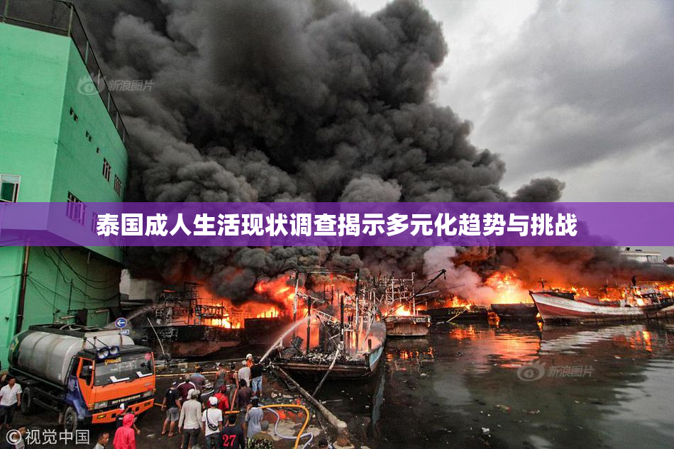 泰国成人生活现状调查揭示多元化趋势与挑战