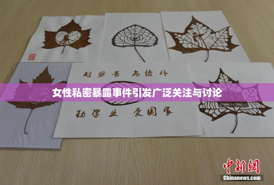 女性私密暴露事件引发广泛关注与讨论