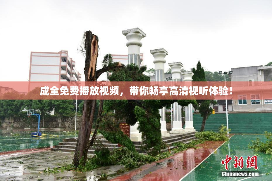 成全免费播放视频，带你畅享高清视听体验！