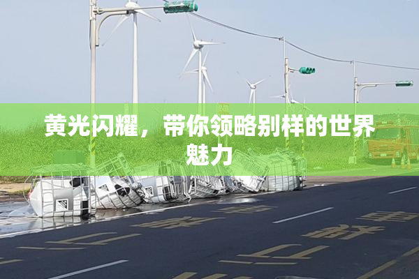 黄光闪耀，带你领略别样的世界魅力