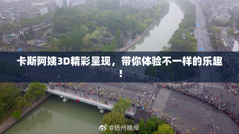 卡斯阿姨3D精彩呈现，带你体验不一样的乐趣！