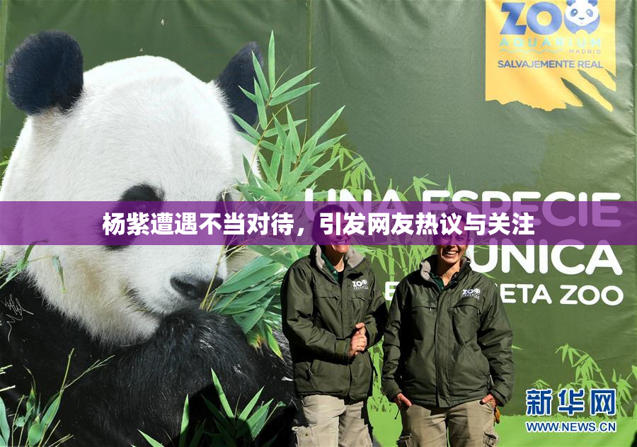 杨紫遭遇不当对待，引发网友热议与关注