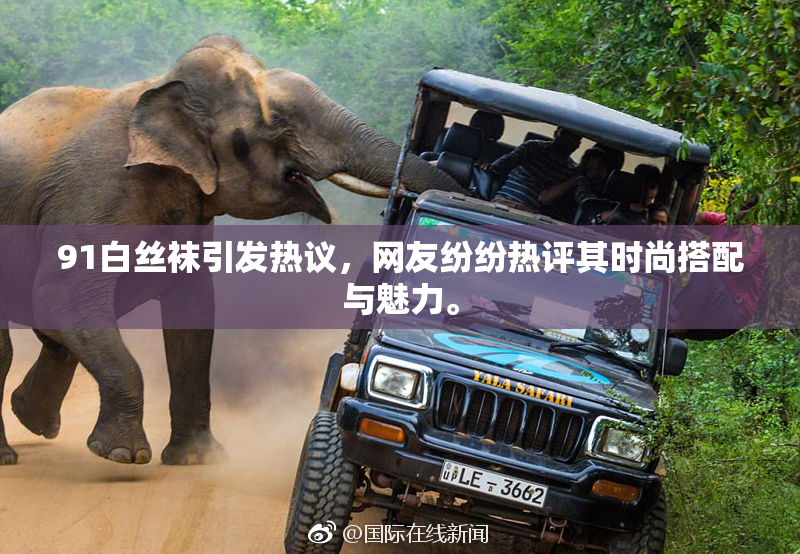 91白丝袜引发热议，网友纷纷热评其时尚搭配与魅力。