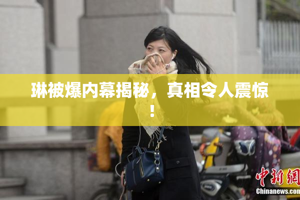 琳被爆内幕揭秘，真相令人震惊！