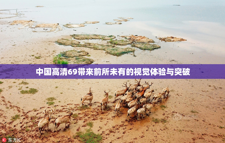 中国高清69带来前所未有的视觉体验与突破