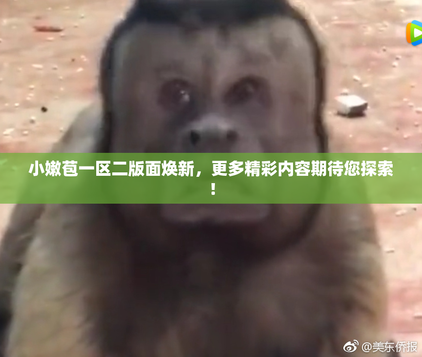 小嫩苞一区二版面焕新，更多精彩内容期待您探索！