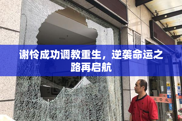谢怜成功调教重生，逆袭命运之路再启航