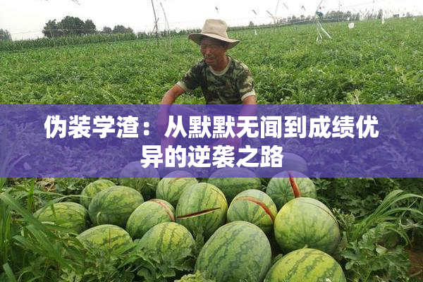 伪装学渣：从默默无闻到成绩优异的逆袭之路