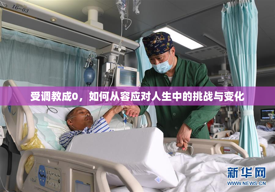 受调教成0，如何从容应对人生中的挑战与变化