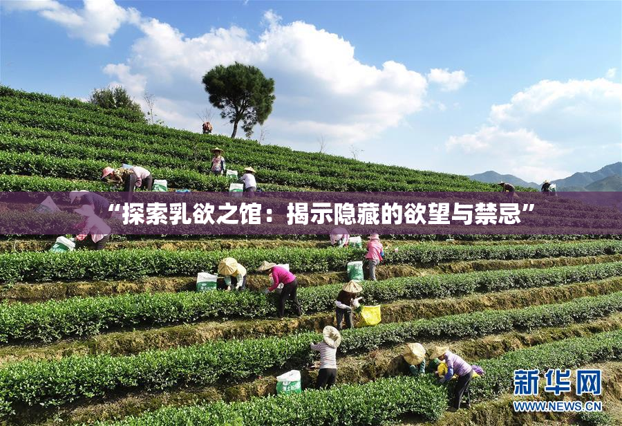 “探索乳欲之馆：揭示隐藏的欲望与禁忌”