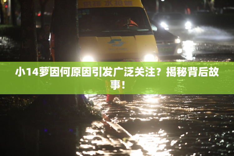 小14萝因何原因引发广泛关注？揭秘背后故事！