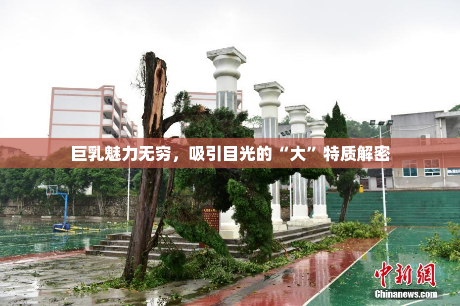 巨乳魅力无穷，吸引目光的“大”特质解密