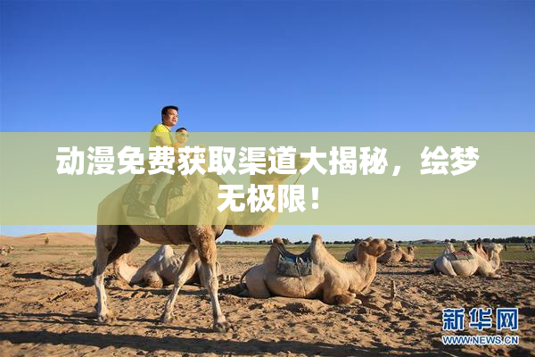 动漫免费获取渠道大揭秘，绘梦无极限！