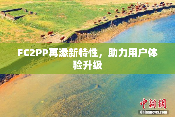 FC2PP再添新特性，助力用户体验升级