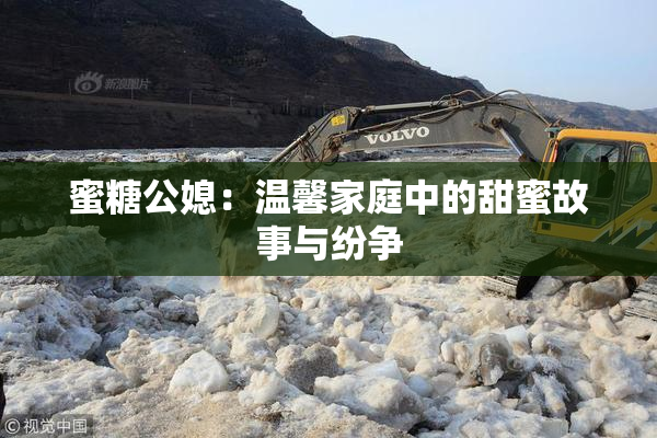 蜜糖公媳：温馨家庭中的甜蜜故事与纷争