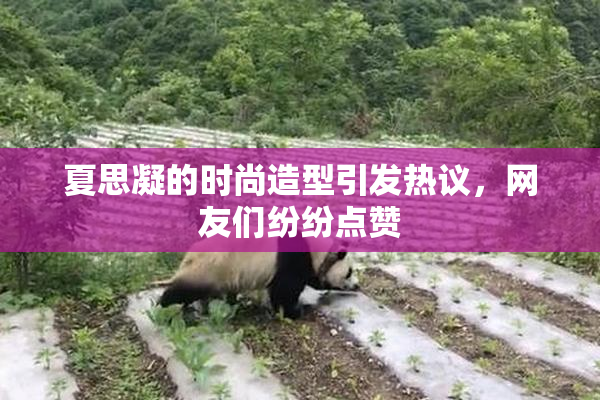 夏思凝的时尚造型引发热议，网友们纷纷点赞