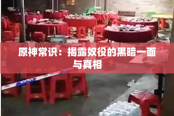 原神常识：揭露奴役的黑暗一面与真相