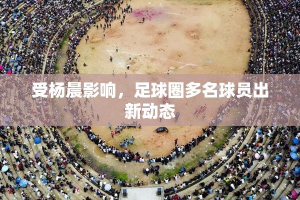 受杨晨影响，足球圈多名球员出新动态
