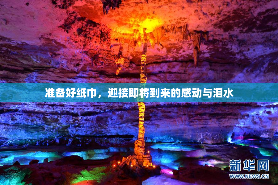 准备好纸巾，迎接即将到来的感动与泪水