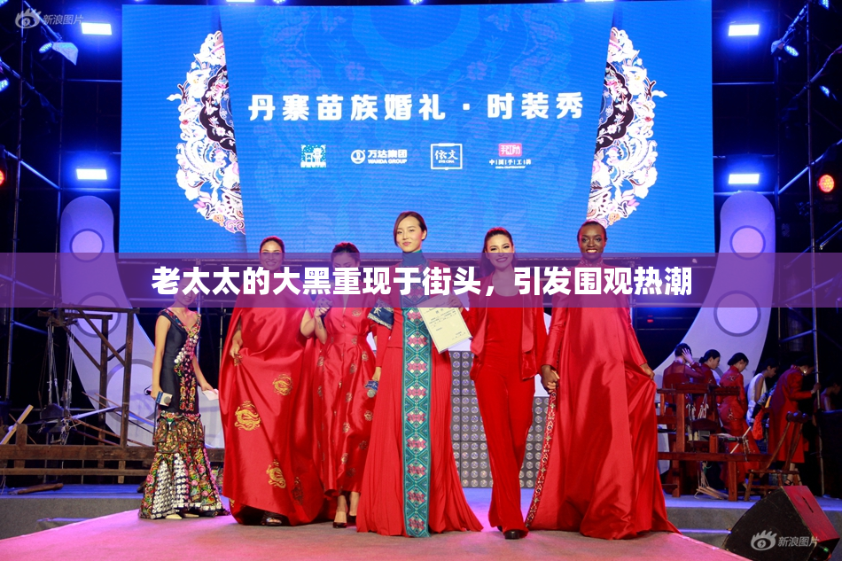 老太太的大黑重现于街头，引发围观热潮
