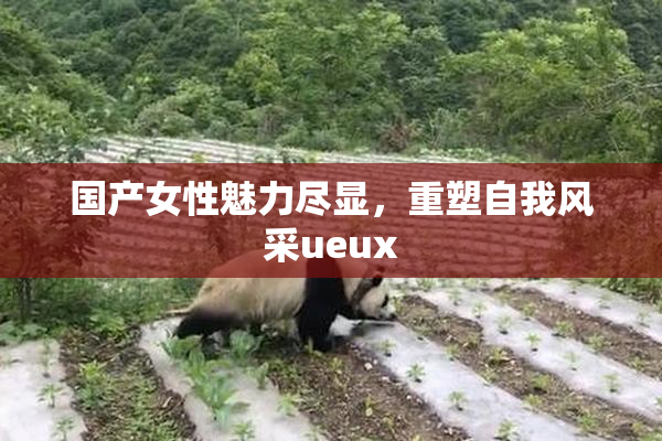 国产女性魅力尽显，重塑自我风采ueux