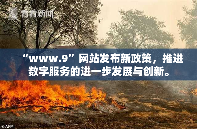 “www.9”网站发布新政策，推进数字服务的进一步发展与创新。