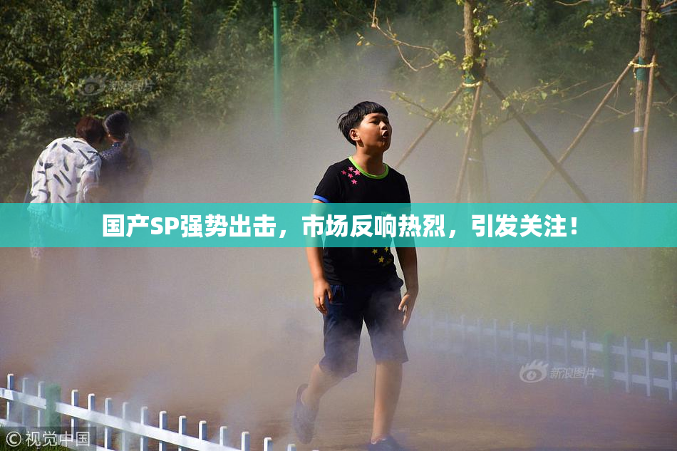 国产SP强势出击，市场反响热烈，引发关注！