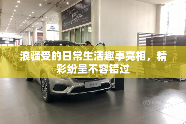 浪骚受的日常生活趣事亮相，精彩纷呈不容错过