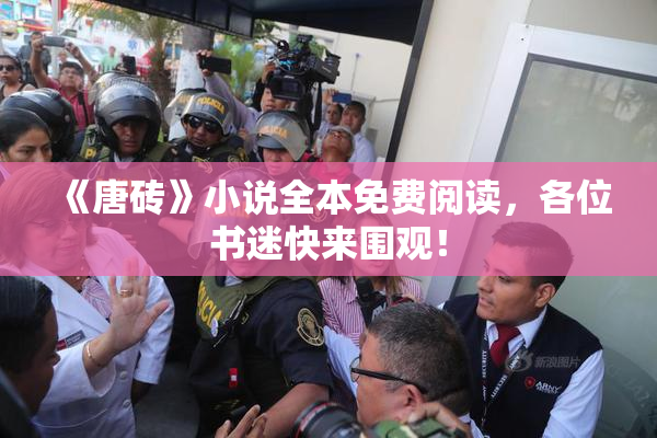 《唐砖》小说全本免费阅读，各位书迷快来围观！