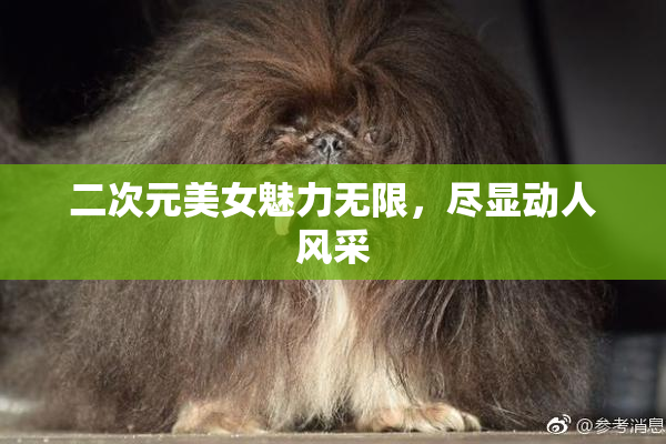 二次元美女魅力无限，尽显动人风采